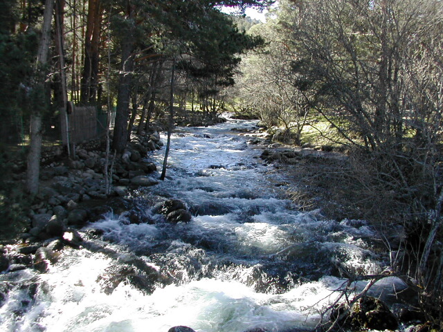 RF0604_41.jpg