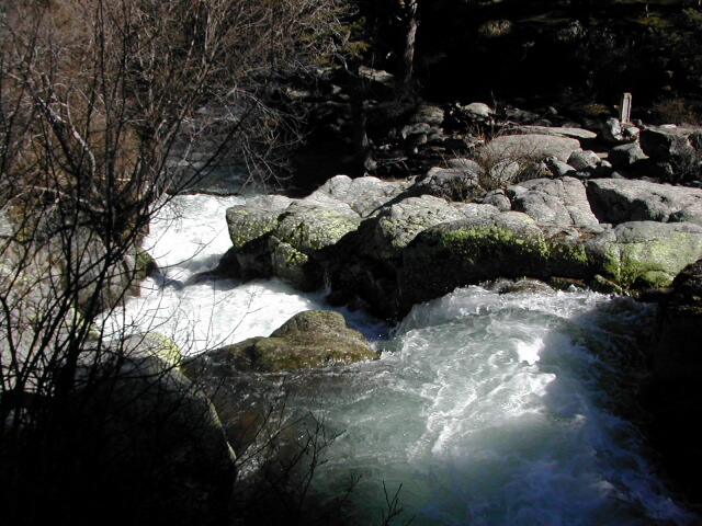 RF0604_42.jpg